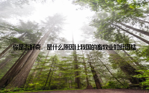 你是否好奇, 是什么原因让我国的畜牧业如此迅猛地崛起今天, 就让我们揭开神秘的面纱, 我国畜牧业发展迅猛背后的四大原因, 让你大开眼界一、政策扶持, 助力畜牧业腾近年来, 我国政府高度重视畜牧业的发展, 出台了一系列扶持政策