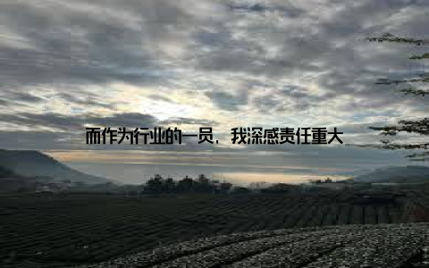 而作为行业的一员, 我深感责任重大