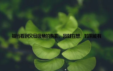 每当看到父母疲惫的身影, 我就在想, 如果能有一种设备, 能减轻他们的负担, 那该多好终于, 在我步入社会, 积累了一定经验后, 我决定自己创业, 开一家养殖场