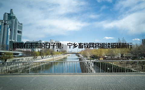 相信在未来的日子里, 宁乡畜牧网将继续砥砺前行, 为我国畜牧产业的繁荣发展贡献力量! 让我们一起期待, 宁乡畜牧网创造更多辉煌!