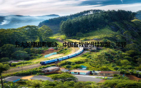 五大关键因素驱动, 中国畜牧业迅猛发展, 年轻人眼中的绿色新机遇近年来, 我国畜牧业发展势头迅猛, 成为推动农业现代化的重要力量