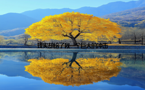 现实却给了我一个巨大的冲击