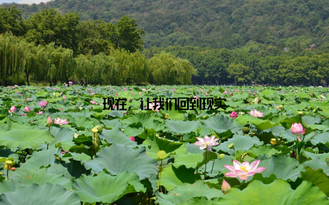 现在, 让我们回到现实