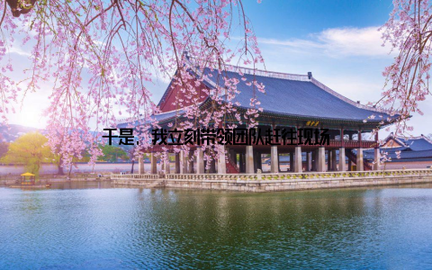 于是, 我立刻带领团队赶往现场