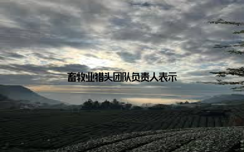 畜牧业猎头团队负责人表示