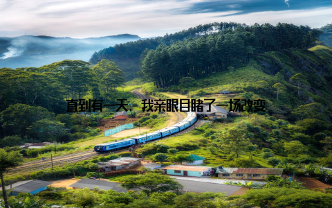 直到有一天, 我亲眼目睹了一场改变