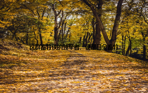 这群畜牧侠的领军者, 便是日全畜牧