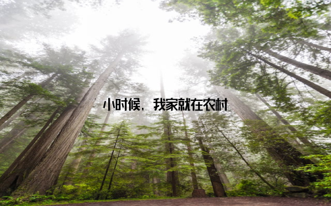 小时候, 我家就在农村