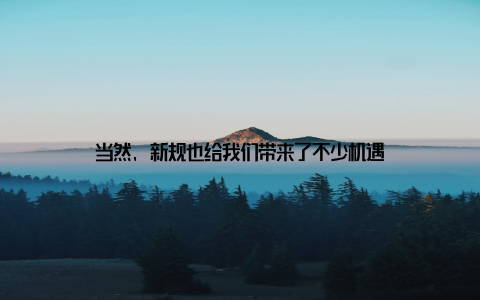 当然, 新规也给我们带来了不少机遇
