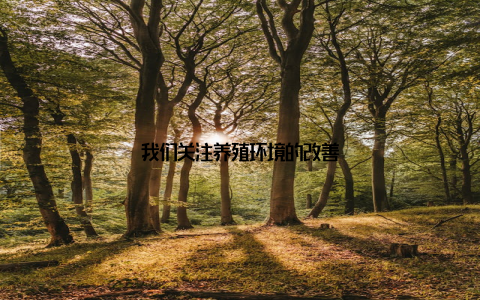 我们关注养殖环境的改善