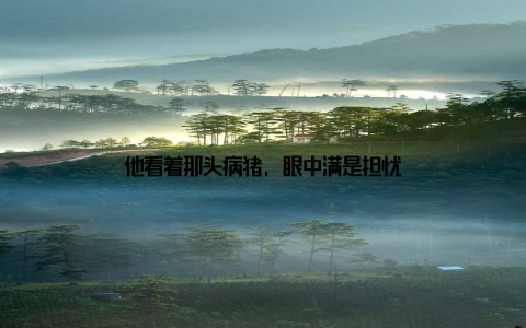 他看着那头病猪, 眼中满是担忧