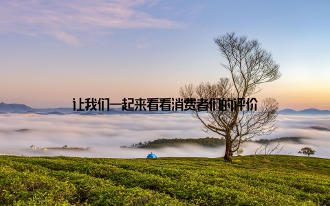 让我们一起来看看消费者们的评价