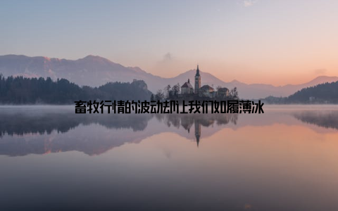 畜牧行情的波动却让我们如履薄冰