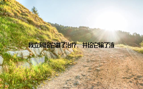 我立刻给它做了治疗, 并给它输了液