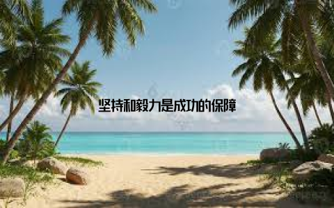 坚持和毅力是成功的保障