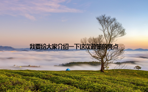 我要给大家介绍一下这次政策的亮点