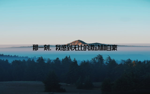 那一刻, 我感到无比的激动和自豪