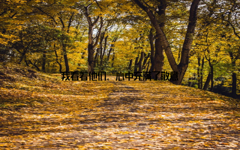 我看着他们, 心中充满了敬意