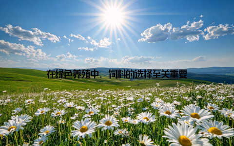 在绿色养殖中, 饲料的选择至关重要