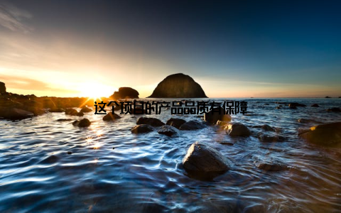 这个项目的产品品质有保障