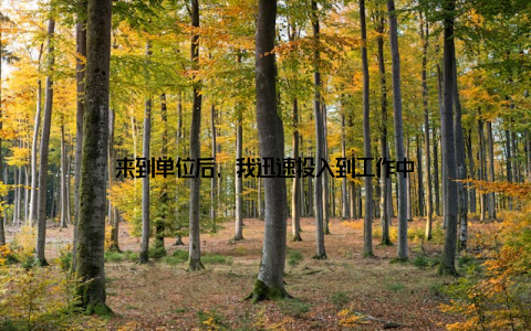 来到单位后, 我迅速投入到工作中