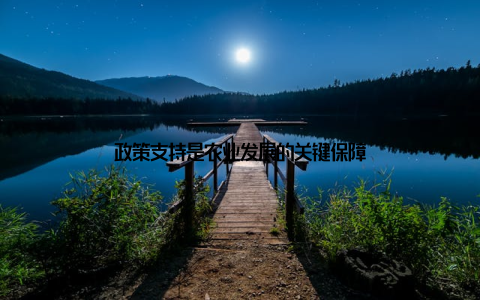 政策支持是农业发展的关键保障