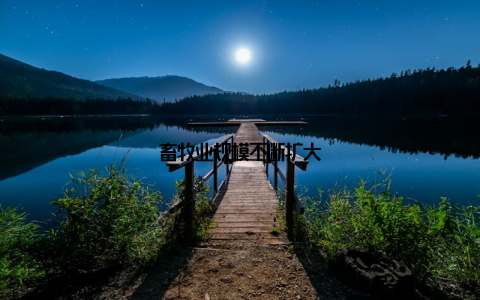 畜牧业规模不断扩大