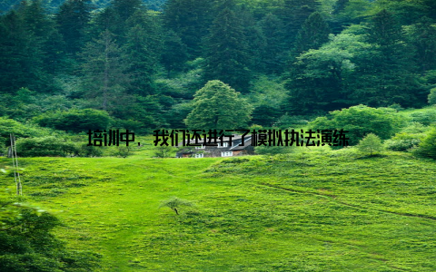 培训中, 我们还进行了模拟执法演练