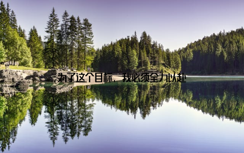 为了这个目标, 我必须全力以赴