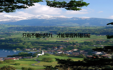 只有不懈的努力, 才能掌握养殖技能