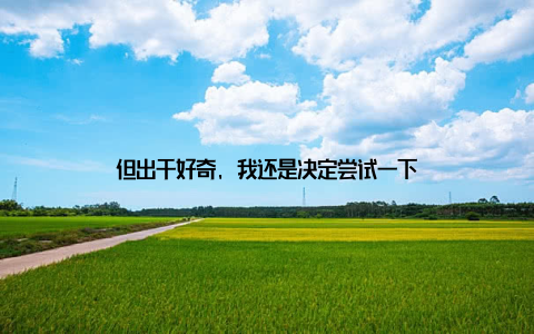 但出于好奇, 我还是决定尝试一下