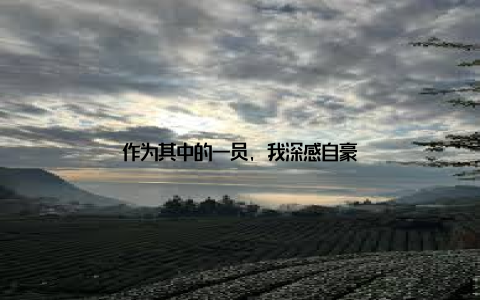 作为其中的一员, 我深感自豪