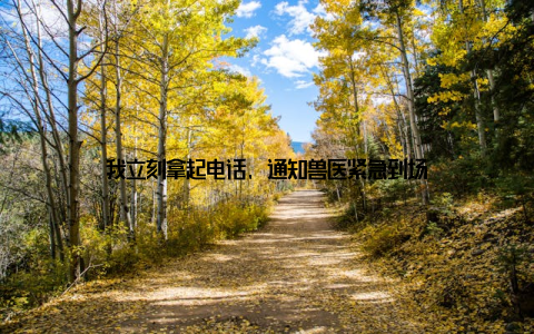 我立刻拿起电话, 通知兽医紧急到场