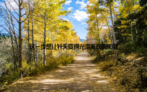 这一步是让针头变得光滑美观的关键