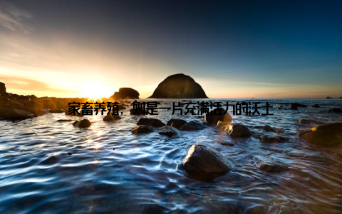 家畜养殖, 则是一片充满活力的沃土