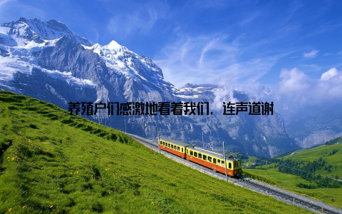 养殖户们感激地看着我们, 连声道谢