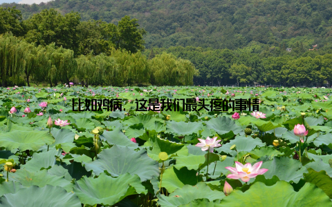 比如鸡病, 这是我们最头疼的事情