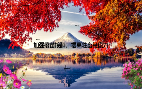 加强疫苗接种, 提高牲畜免疫力