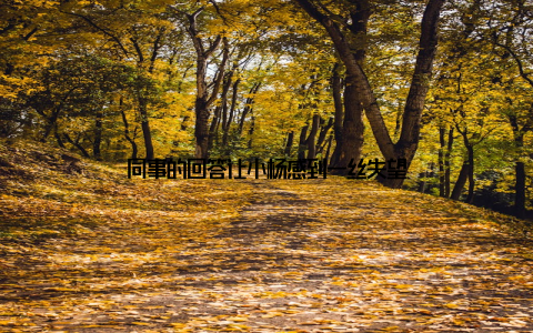 同事的回答让小杨感到一丝失望