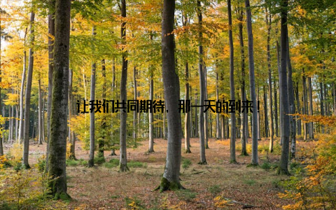 让我们共同期待, 那一天的到来!