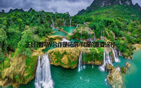 王经理跨界合作是拓展市场的重要途径