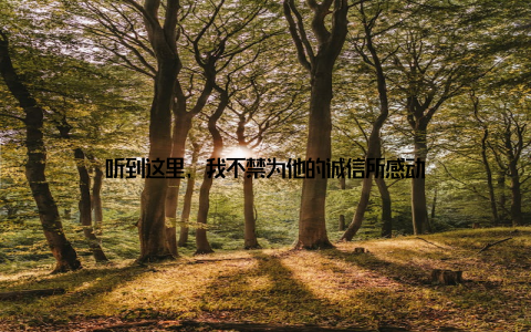 听到这里, 我不禁为他的诚信所感动