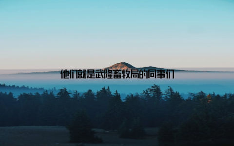 他们就是武隆畜牧局的同事们