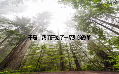 于是, 我们开始了一系列的改革