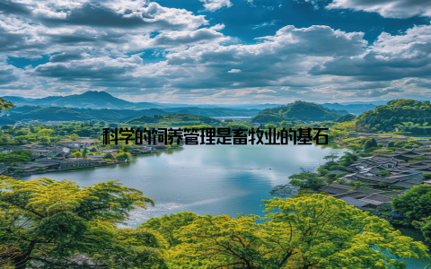 科学的饲养管理是畜牧业的基石