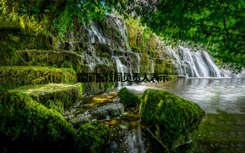 霍邱畜牧局负责人表示