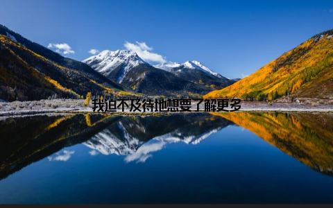 我迫不及待地想要了解更多