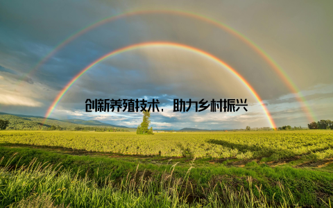 创新养殖技术, 助力乡村振兴