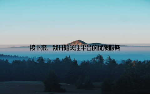 接下来, 我开始关注平台的优质服务