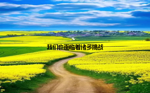 我们也面临着诸多挑战